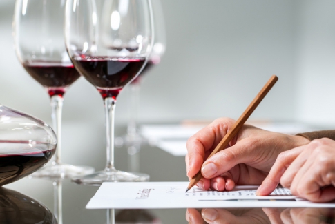 Hondotenia vín 1/2019