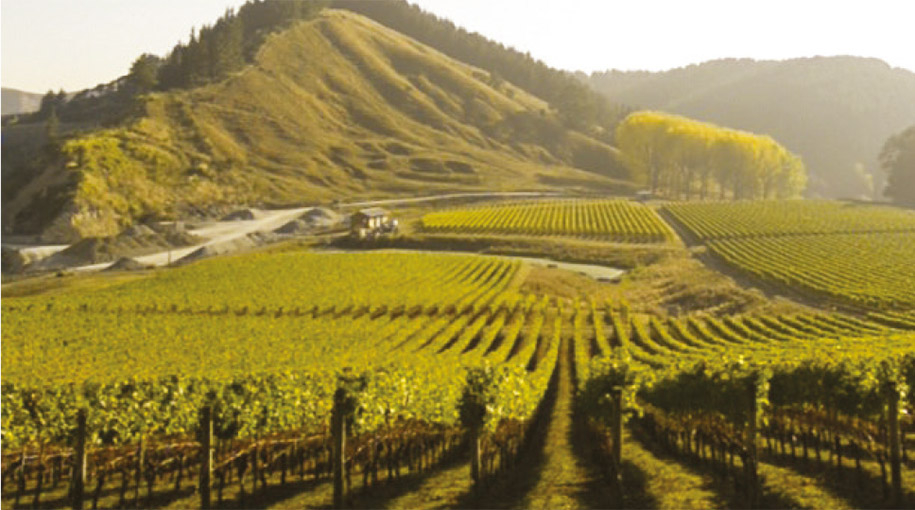 Dvanásť zlatých medailí a tri trofeje pre Villa Maria na Royal Easter Show Wine Awards