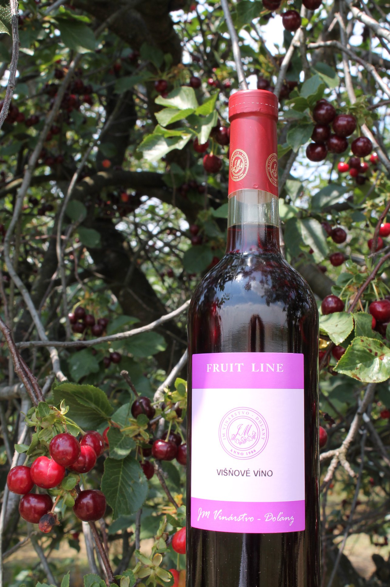 J.M. Doľany Fruit Line