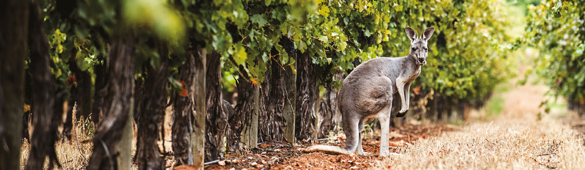 Časopis TASTE & ENJOY 02/2019