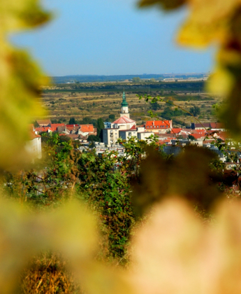 Vinárstvo Chateau Modra – víno z vlastných viníc