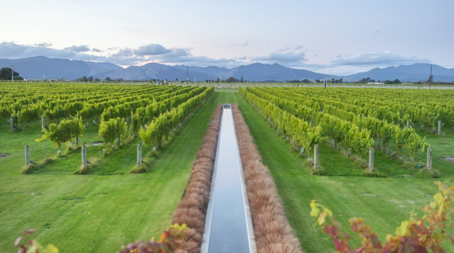 Najväčší producenti vína vo svete