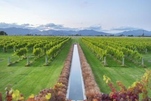 Najväčší producenti vína vo svete