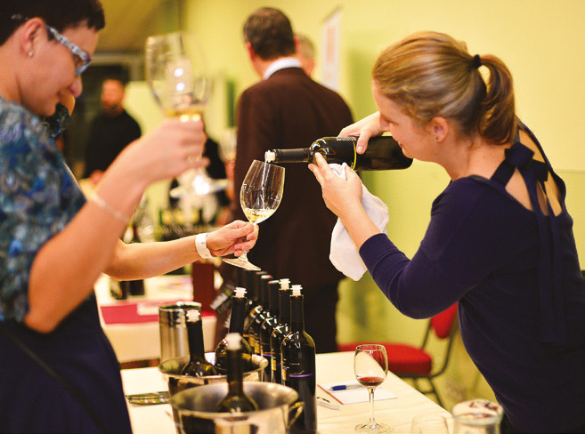 WineDay v Parku Dolný Kubín